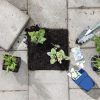 Texel doet mee aan NK Tegelwipactie