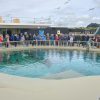 Nieuw zeehondenbassin Ecomare geopend